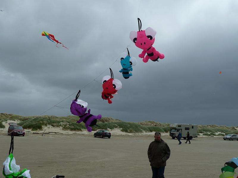 Fanø 2010 101.JPG